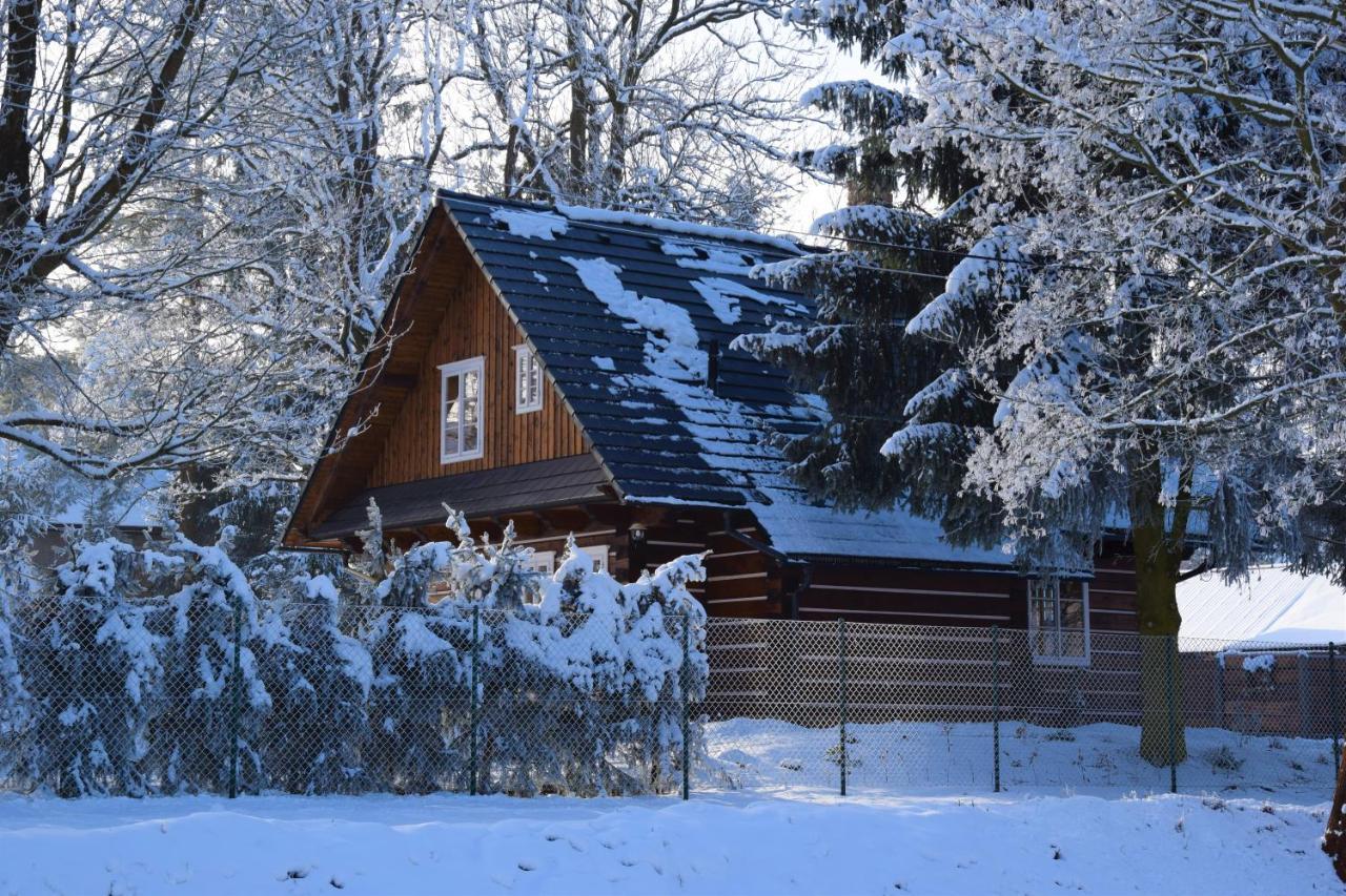 Villa Roubenka Štěpánka Svratka Exterior foto